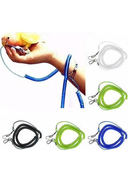 Rastgele Renk Stili 2 Milyon Papağan Kuş Uçan Eğitim Tasması Ultra-Hafif Esnek Halat Bacak Halkalı Koşumlu Anti-Bite Outdoor Amerika Papağanı Papağanı Sığırcık (Yurt Dışından)