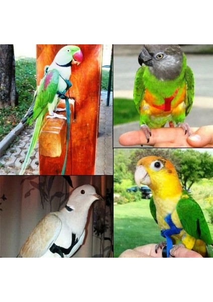 S Tarzı Ayarlanabilir Papağanlar Kuş Koşum Tasma Isırma Önleyici Eğitim Ipi Açık Havada Uçan Koşum Tasma -Drop (Yurt Dışından) fiyatları