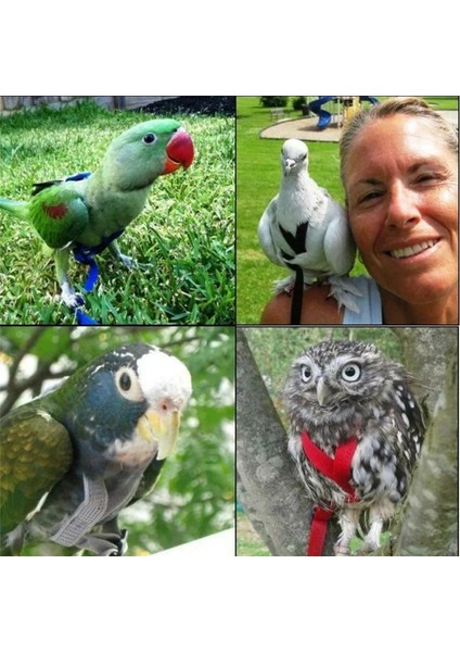 S Tarzı Ayarlanabilir Papağanlar Kuş Koşum Tasma Isırma Önleyici Eğitim Ipi Açık Havada Uçan Koşum Tasma -Drop (Yurt Dışından) indirimleri