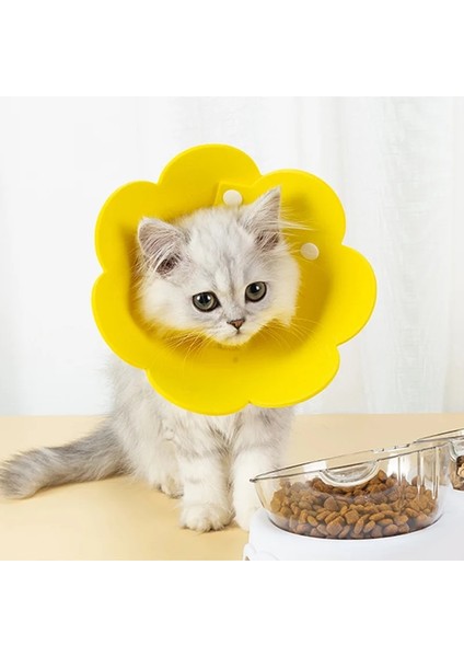 Pembe Stil M Beden Keçe Kedi Yaka Elizabeth Daire Kedi Ayçiçeği Yaka Keçe Pet Ürünleri Yalama Önleyici Kedi Yaka Uahua Lüks Köpek Tasması (Yurt Dışından) indirimleri