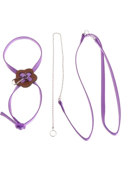 Rastgele Teslim Tarzı Mavi Renkli Papağan Kuş Tasma Açık Ayarlanabilir Koşum Eğitim Halat Kemer Yürüyüş Kurşun Kuş Tasma (Yurt Dışından) fiyatları