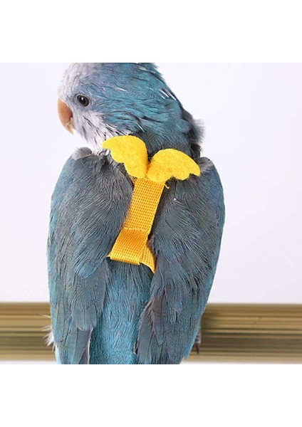 B Tarzı Xl Beden Düz Renk Ayarlanabilir Kuş Koşum Tasma Sevimli Açık Uçan Eğitim Ipi Pet Papağan Aviator Harne Kuş Malzemeleri Için (Yurt Dışından) fırsatları