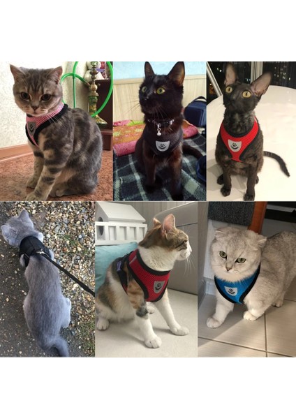 Kırmızı Stil L Beden Örgü Kedi Koşum ve Tasma Nefes Yansıtıcı Yavru Kediler Koşum Fransız Bulldog Chihuahua Pug Için Küçük Köpek Yavrusu Koşum (Yurt Dışından) modelleri