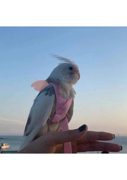 Sarı Stil Pet Papağan Kuş Koşum Tasma Uçan Halat Sapanlar Açık Eğitim Çekiş Halatı Muhabbet Kuşu Cennet Papağanı Küçük Kuşlar (Yurt Dışından) fiyatları