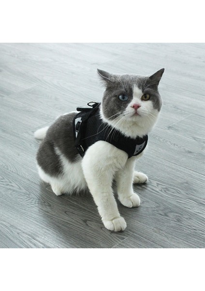Mavi Stil Xs Beden Yansıtıcı Kedi Koşum ve Tasma Seti Naylon Örgü Yavru Yavru Köpekler Yelek Koşum Küçük Köpekler Için Pet Giysi Açar Bulldog Malzemeleri (Yurt Dışından) modelleri