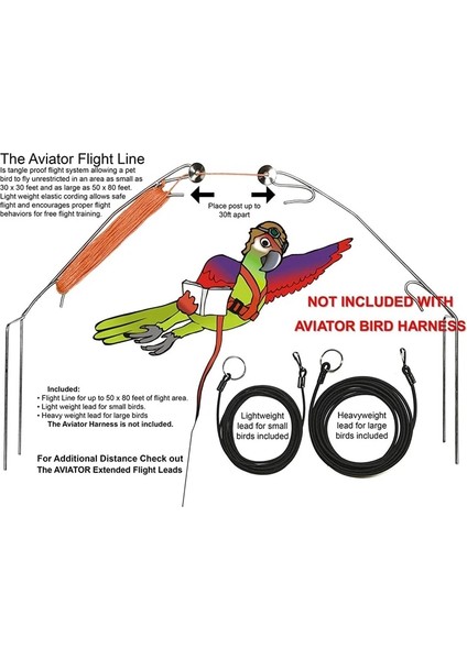 Lber Pet Kuş Koşum ve Tasma, Ayarlanabilir Papağan Kuş Koşum Tasma - Pet Isırma Önleyici Eğitim Ipi Açık Hava Uçan Koşum ve Le (Yurt Dışından)