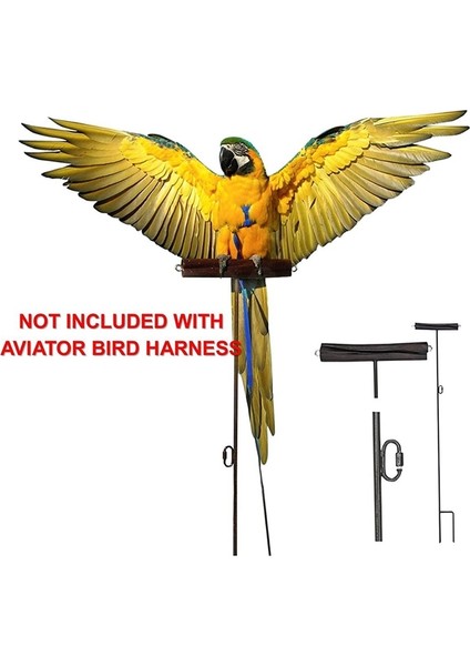 Lber Pet Kuş Koşum ve Tasma, Ayarlanabilir Papağan Kuş Koşum Tasma - Pet Isırma Önleyici Eğitim Ipi Açık Hava Uçan Koşum ve Le (Yurt Dışından) fırsatları