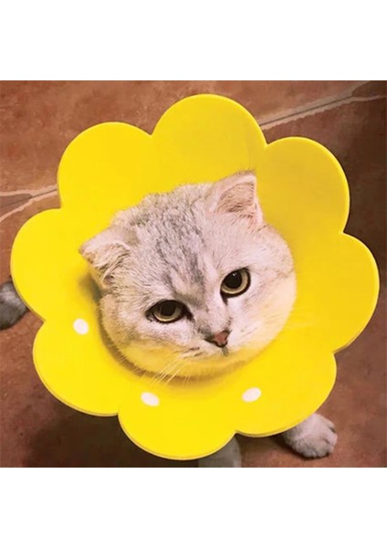 Sarı Stil M Beden 1 Adet Ayçiçeği Kedi Elizabeth Yaka Anti Bite Yalamak Yara Korumak Boyun Halkası Çiçek Yavrusu Kedi Yaka Yumuşak Pet Malzemeleri Utanç Daire (Yurt Dışından)