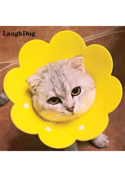 Sarı Stil M Beden 1 Adet Ayçiçeği Kedi Elizabeth Yaka Anti Bite Yalamak Yara Korumak Boyun Halkası Çiçek Yavrusu Kedi Yaka Yumuşak Pet Malzemeleri Utanç Daire (Yurt Dışından) fiyatları