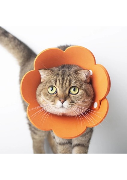 Sarı Stil M Beden 1 Adet Ayçiçeği Kedi Elizabeth Yaka Anti Bite Yalamak Yara Korumak Boyun Halkası Çiçek Yavrusu Kedi Yaka Yumuşak Pet Malzemeleri Utanç Daire (Yurt Dışından) modelleri