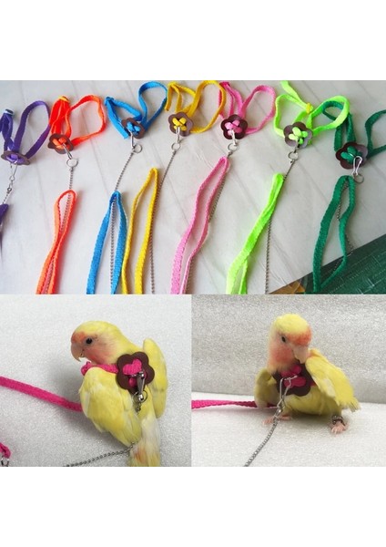 Renkli Papağan Kuş Tasma Açık Ayarlanabilir Koşum Eğitim Ipi Uçan Çapraz Bant (Yurt Dışından)