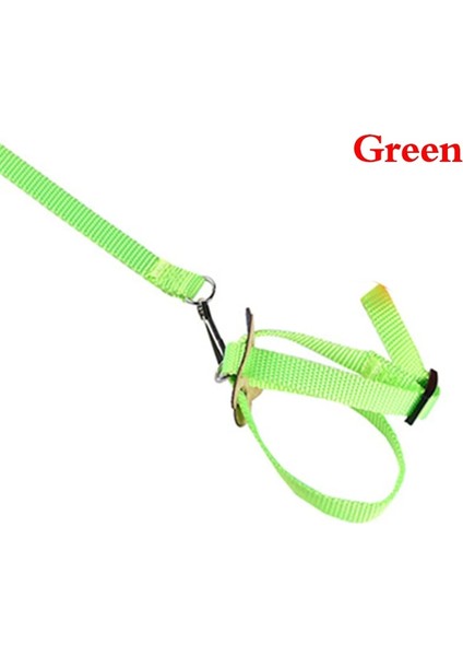 Yeşil Stil Papağan Kuş Tasma Açık Ayarlanabilir Koşum Eğitim Halatı Anti Bite Uçan Bant Papağan Yaka Koşum Ayarlanabilir Hamster (Yurt Dışından)
