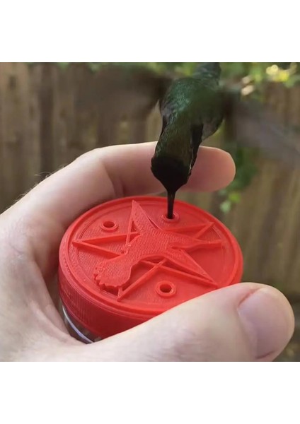 Çok Renkli Stil Tutamak Kuş Sinek Kuşu Besleyici Ampul Pentagram Şekli Suluk Su Plastik Açık Bahçe Pencere Vantuz Kuş Besleyici (Yurt Dışından) indirimleri