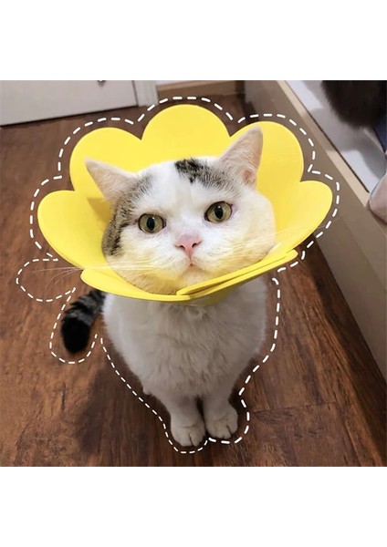 Sarı Stil M Beden 1 Adet Ayçiçeği Kedi Elizabeth Yaka Anti Bite Yalamak Yara Korumak Boyun Halkası Çiçek Yavrusu Kedi Yaka Yumuşak Pet Malzemeleri Utanç Daire (Yurt Dışından) indirimleri