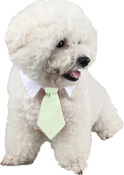 Kahverengi ve Beyaz Tarzı 31CM Yeni Pet Kravatlarstripe Küçük Pamuk Pet Köpek Yavrusu Kravat Ayarlanabilir Papyon Tımar Moda Köpek Kedi Çizgili Papyon (Yurt Dışından) fırsatları