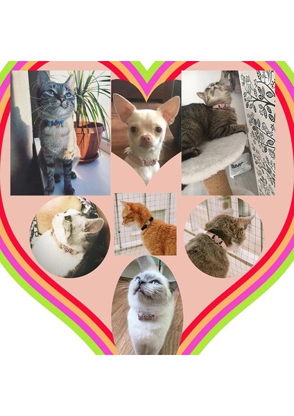 Kırmızı Stil Kalp Charm ve Çan Kedi Yaka Güvenlik Elastik Yumuşak Kadife Malzeme ile Ayarlanabilir 8 Renk Evcil Hayvan Ürünü Küçük Köpek Tasması (Yurt Dışından) indirimleri