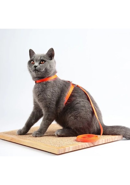 Siyah Stil 1 Adet Yenı Kedi Köpek Tasma ve Ayarlanabilir Yaka Koşum Naylon Pet Çekiş Kedi Yavrusu Halter Kediler Ürünleri Kedi Yavrusu Küçük Köpekler Için (Yurt Dışından) fırsatları
