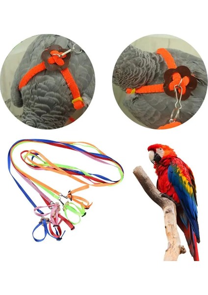 Turuncu Tarzı 1 Parça Pet Kuş Koşum Ayarlanabilir Tasma Uçan Eğitim Halatı Papağan Kakadu Amerika Papağanı Papağanları Için (Yurt Dışından) fırsatları