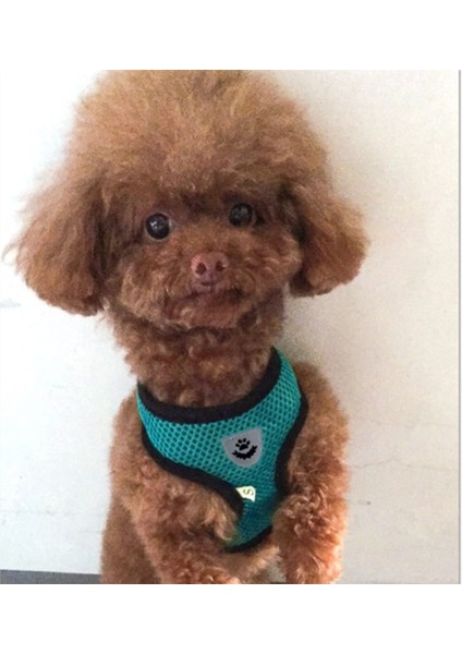 Pembe Tarzı M Beden 6 Renkler Pet Koşum ve Tasma Seti Kedi Köpek Chihuahua Yavru Köpek Için Nefes Örgü Ayarlanabilir Yelek Pet Malzemeleri (Yurt Dışından)