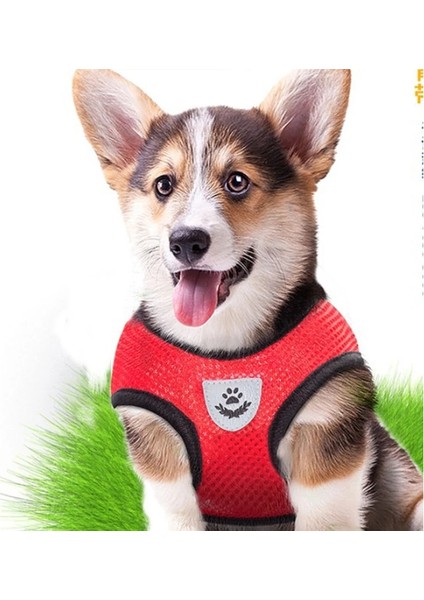 Pembe Tarzı M Beden 6 Renkler Pet Koşum ve Tasma Seti Kedi Köpek Chihuahua Yavru Köpek Için Nefes Örgü Ayarlanabilir Yelek Pet Malzemeleri (Yurt Dışından)