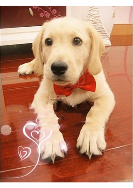 No.11 Stili Kawaii Pet Köpek Kedi Kolye Kedi Yaka Köpekler Için Ayarlanabilir Kayış Aksesuarları Pet Köpek Papyon Yavru Papyonlar Köpek Pet Malzemeleri (Yurt Dışından) indirimleri