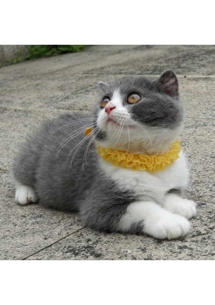 Sarı Çiçek Dantel Stili S Beden Köpekler ve Kediler Için Çan Kedi Yaka Ayarlanabilir Ilmek Yavru Çiçekler ile 2 Adet Pet Yaka Kolye Aksesuarları (Yurt Dışından) fırsatları