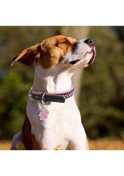 Altın Tarzı Özel Metin Kişiselleştirilmiş Köpek Kedi Etiketleri Oyulmuş Kedi Köpek Yavrusu Evcil Hayvan Kimliği Adı Yaka Etiketi Kolye Evcil Hayvan Aksesuarları Paw Glitter Kolye (Yurt Dışından) fırsatları