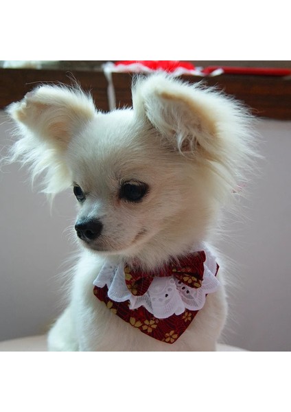 Kırmızı Stil S Beden Japon Tarzı El Yapımı Köpek Dantel Yay Önlüğü ile Sevimli Papyon Pet Köpek Eşarp Yavruları Için Orta Köpekler Pet Aksesuarları (Yurt Dışından) fırsatları