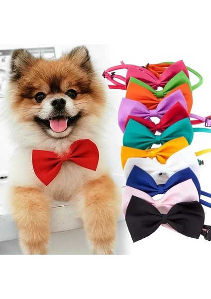 No.13 Tarzı Renkli Kedi Yaka Pamuk Ilmek Kolye Bulldog Chihuahua Papyon Köpek Küçük Köpek Parti Bandana Yaka Pet Malzemeleri 14 Renk (Yurt Dışından) fiyatları