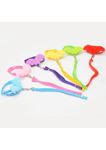 Mor Tarzı S Göğüs 20-34CM Sevimli Melek Kanadı Küçük Köpek Kedi Koşum ve Tasma Seti Ayarlanabilir Köpek Koşum Naylon Kayış Yaka Pet Kediler Için Yürüyüş Tasma Talepleri (Yurt Dışından) fiyatları