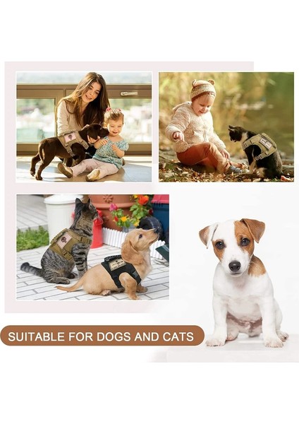 Siyah Stil Ayarlanabilir Kedi Koşum Yelek Kolu ile Askeri Pet Eğitim Koşum Örgü Küçük Köpekler Için Kedi Açık Yürüyüş Kedi Yelek Koşum (Yurt Dışından) fırsatları