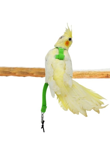 Gümüş Tarzı Pet Kuş Koşum ve Tasma Ayarlanabilir Papağan Kuş Koşum Tasma Pet Anti-Bite Eğitim Halatı Açık Uçan Eğitim Malzemeleri (Yurt Dışından) fırsatları