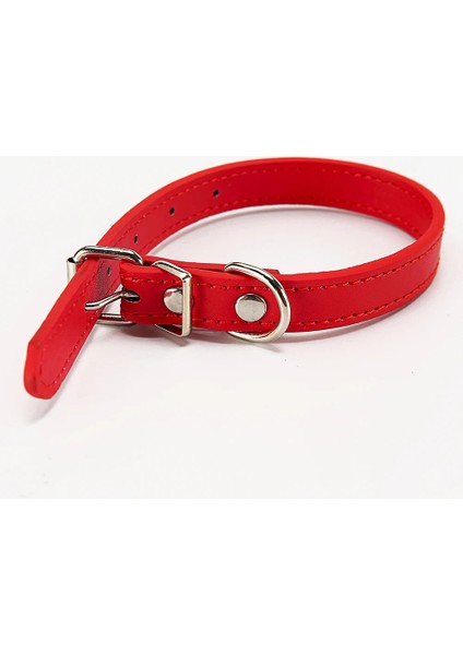 Yeşil Stil Resim Olarak M Kedi Yaka Güvenlik Köpek Yaka Chihuahua Katı Köpek Tasması Kediler Için Yavru Pet Kedi Tasmaları Ayarlanabilir Pet Tasma Kedi Kurşun Malzemeleri (Yurt Dışından) modelleri