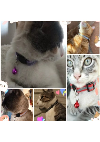 No.5 Tarzı Naylon Yansıtıcı Ayarlanabilir Köpek ve Kedi Yakalı, Çan Emniyetli Yanıp Sönen Yaka, Küçük Köpekler ve Kediler Için Uygun Evcil Hayvan Malzemeleri (Yurt Dışından) fırsatları