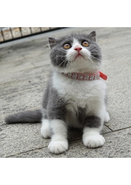 Sarı Gül Tarzı S Beden Köpekler ve Kediler Için Çan Kedi Yaka Ayarlanabilir Ilmek Yavru Çiçekler ile 2 Adet Pet Yaka Kolye Aksesuarları (Yurt Dışından) modelleri