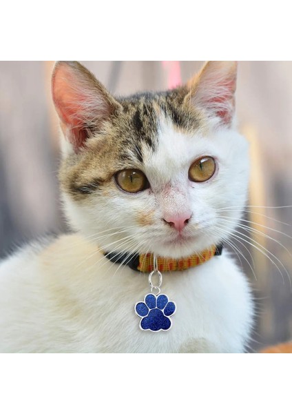 Gümüş Tarzı Boşluk Kişiselleştirilmiş Köpek Kedi Etiketleri Oyulmuş Kedi Köpek Yavrusu Evcil Hayvan Kimliği Adı Yaka Etiketi Kolye Evcil Hayvan Aksesuarları Paw Glitter Kolye (Yurt Dışından)