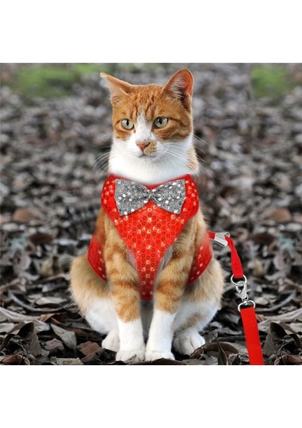 Kırmızı Stil M Beden Küçük Köpek Koşum ve Tasma Seti Pet Kedi Yelek Koşum ile Küçük Köpek Doguahua Yorkies Pug Için Örgü Örgü Yastıklı (Yurt Dışından) indirimleri
