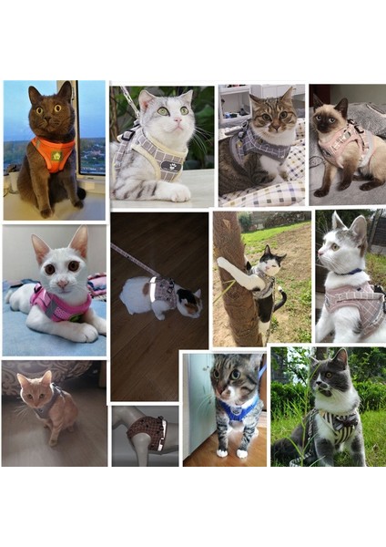 B-Gri Tarzı L Beden Kedi Köpek Koşum Halat Setleri Nefes Lüks Tasarımcı Göğüs Bandı Yansıtıcı Ayarlanabilir Evcil Hayvan Koşum Giyim Kediler Aksesuarları Için (Yurt Dışından) indirimleri