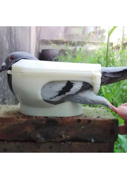 1 Adet Rastgele Renk Stili Enjeksiyon Besleme Için 1 Adet Plastik Yarış Güvercin Tutucu Sabit Dağı Aşılama Kuş Malzemeleri Montaj Esaret Aracı (Yurt Dışından) fiyatları