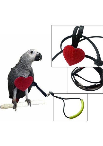 Resim Gösterilen Stil Olarak S Beden Anti-Bite Uçan Eğitim Halatı Papağan Kuşlar Ultralight Koşum Tasma Yumuşak Taşınabilir Pet Oyuncaklar (Yurt Dışından) modelleri