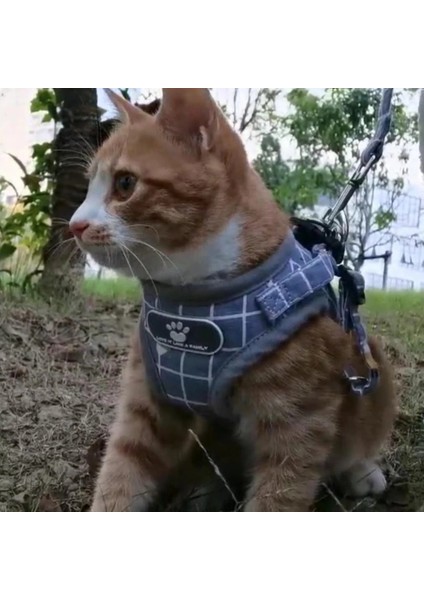 C-Siyah Tarzı Xl Beden Kedi Köpek Koşum Halat Setleri Nefes Lüks Tasarımcı Göğüs Bandı Yansıtıcı Ayarlanabilir Evcil Hayvan Koşum Giyim Kediler Aksesuarları Için (Yurt Dışından) modelleri