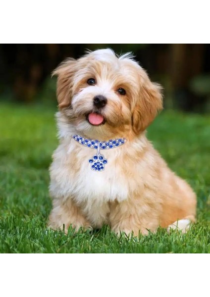 Siyah Beyaz Tarzı S Beden Elmas Kakma Pet Kedi Yaka Pety Kristal Elastik Kediler Yaka Ayak Izleri Aksesuarları Yavru Köpek Yaka Kedi Kolye (Yurt Dışından) indirimleri