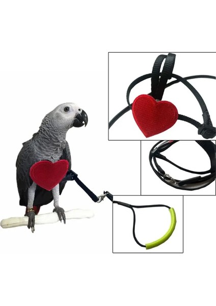 Resim Gösterilen Stil Olarak M Beden Anti-Bite Uçan Eğitim Halatı Papağan Kuşlar Ultralight Koşum Tasma Yumuşak Taşınabilir Pet Oyuncaklar (Yurt Dışından) modelleri