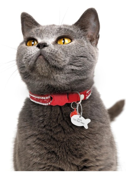 Kırmızı Stil S Beden Yavru Kedi Adı Yaka Hızlı Bırakma Pet Kedi Çan ile Güvenlik Yaka Kişiselleştirilmiş Balık Kımlık Etiketi Bling Rhinestone Kediler Kolye (Yurt Dışından)