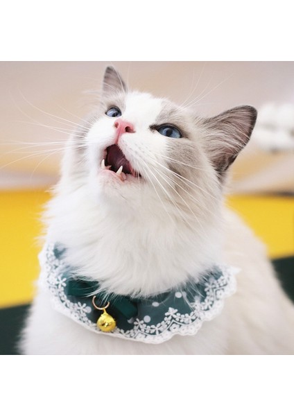 Çok Renkli Stil Xl Beden Kedi Yaka El Dokuması Sevimli Kedi Örme Kolye Isıtıcı Köpek Örme Eşarp Yeni Yıl Moda Pet Aksesuarları Kedi Aksesuarları Pet (Yurt Dışından) fırsatları