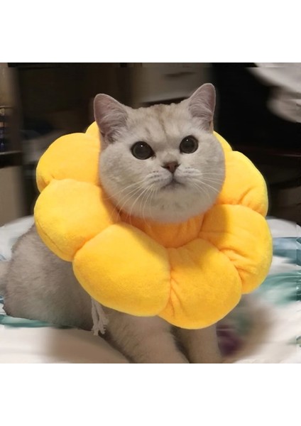 M Tarzı Pet Kurtarma Yaka Anti-Lickbite Kedi Boyun Konisi Elizabeth Yastıklı Yaka Sevimli Çiçek Şekli Evcil Hayvan Aksesuarları (Yurt Dışından) fiyatları