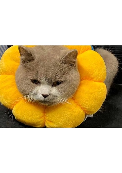 M Tarzı Pet Kurtarma Yaka Anti-Lickbite Kedi Boyun Konisi Elizabeth Yastıklı Yaka Sevimli Çiçek Şekli Evcil Hayvan Aksesuarları (Yurt Dışından) modelleri