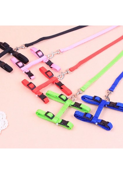 Mavi Stil 1 Adet Yeni Kedi Köpek Tasma ve Ayarlanabilir Yaka Koşum Naylon Pet Çekiş Kedi Yavrusu Halter Kediler Ürünleri Kedi Yavrusu Küçük Köpekler Için (Yurt Dışından) indirimleri