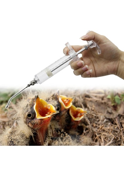 20 ml Stil Elle Besleme Yetiştirme Sonda Mahsul Iğnesi Kavisli Ilaç Tüpü Kafes Kuşlar Fareler Papağan Besleme Şırıngası (Yurt Dışından) indirimleri