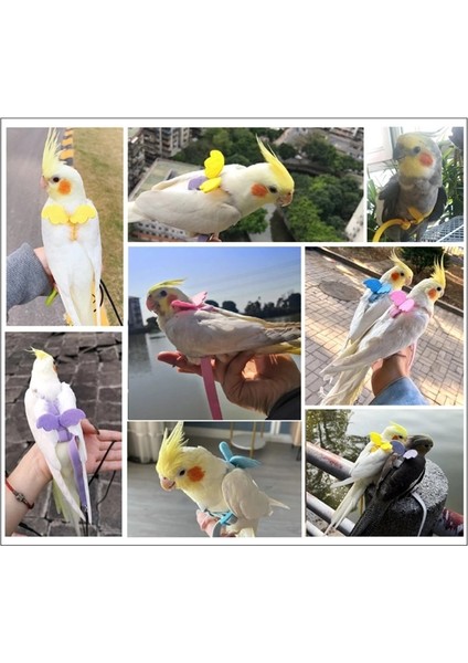 Mor Tarzı Ayarlanabilir Kuş Koşum Tasma Papağan Uçan Halat Askıları Küçük Papağanlar Çoklu Renkler Için Açık Eğitim Çekiş Halatı Y5GB (Yurt Dışından) fırsatları